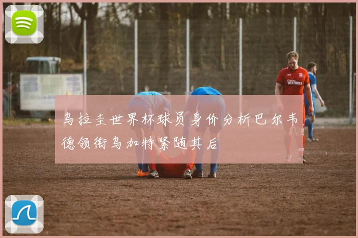 乌拉圭世界杯球员身价分析巴尔韦德领衔乌加特紧随其后